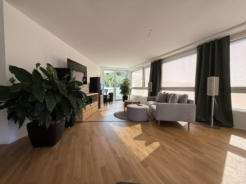 BEFRISTET: 15.07.2026 - 31.12.2026: Möblierte 4.5-Zimmer-Wohnung mit Dachterrasse und Seesicht (5)