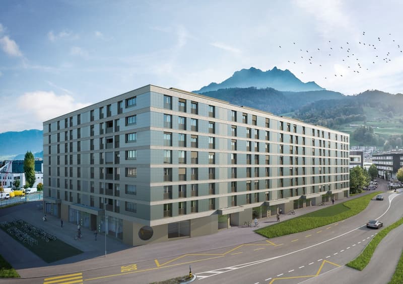 Möblierte luxuriöse 4.5-Zimmer-Wohnung in Luzern (8)