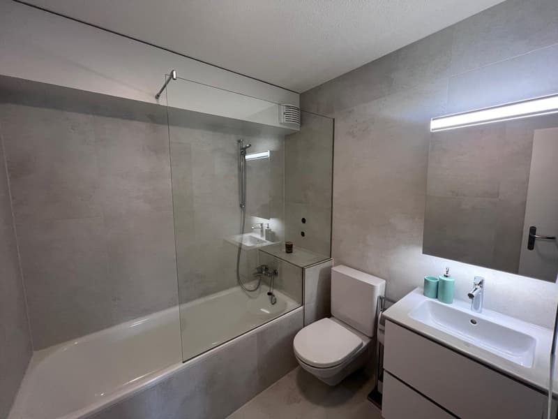 Möblierte 3.5-Zimmerwohnung mit Seeblick im Zentrum von Zug (5)