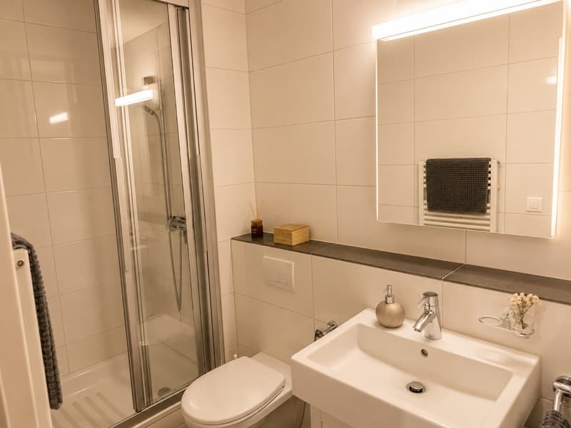 BEFRISTET: 01.10. - 31.12.2026: Möblierte 3.5-Zimmer-Wohnung mit Balkon in Risch-Rotkreuz (8)