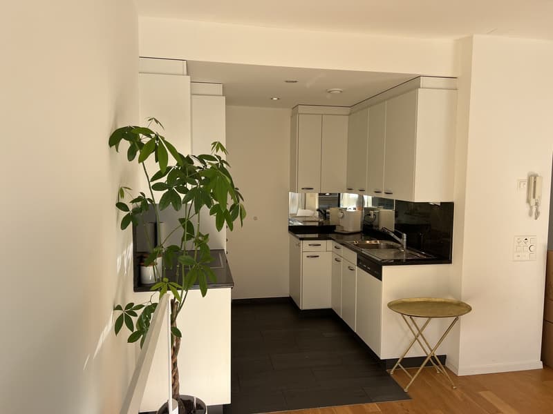 Möblierte 2.5-Zimmer-Wohnung mit Balkon und Seesicht in Zug (8)
