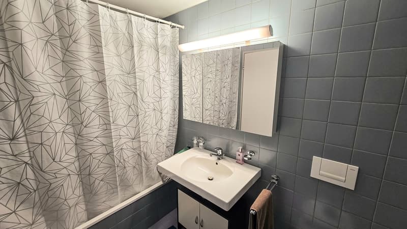 BEFRISTET: 01.12 - 31.03.27: Geräumige 4.5-Zimmer-Wohnung mit Balkon und schöner Aussicht in Luzern (11)