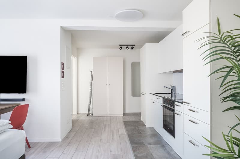 Möblierte 1.5-Zimmer-Wohnung direkt beim Hauptbahnhof Zürich (6)