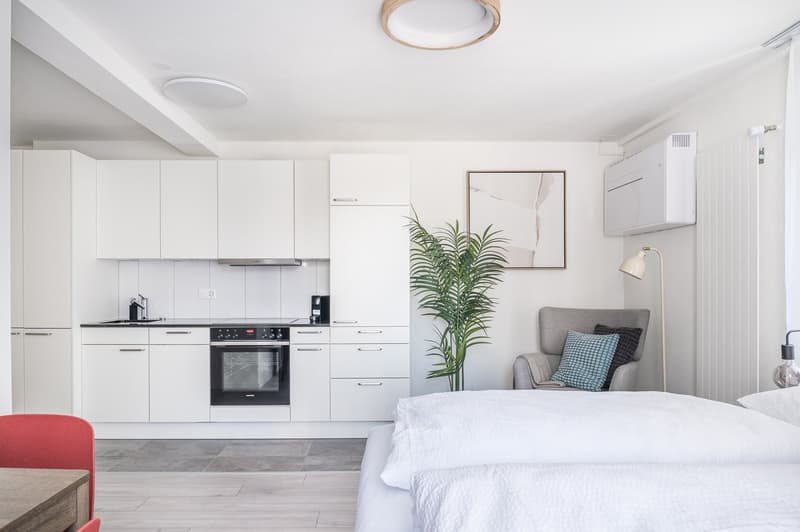 Möblierte 1.5-Zimmer-Wohnung direkt beim Hauptbahnhof Zürich (5)