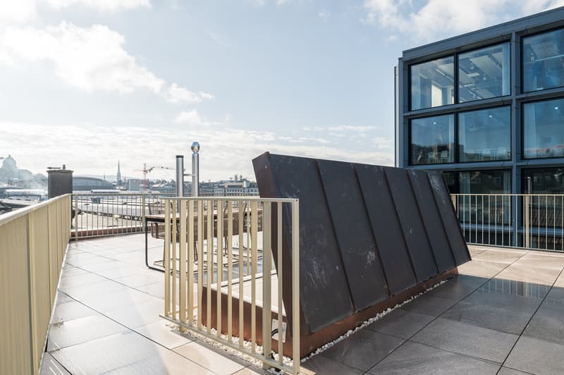 Möbliertes 2.5-Zimmer-Penthouse mit grosser Dachterrasse in Zürich (11)