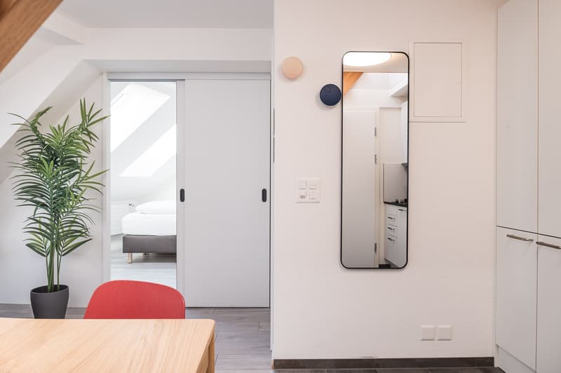 Möbliertes 2.5-Zimmer-Penthouse mit grosser Dachterrasse in Zürich (7)