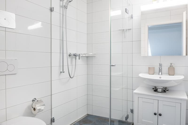 Möblierte 1.5-Zimmer-Attikawohnung mit Balkon im Herzen von Züric (10)