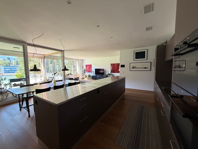 Charming furnished 3.5-Room Apartment with Balcony an rooftop terrace in the Heart of Luzern (5)