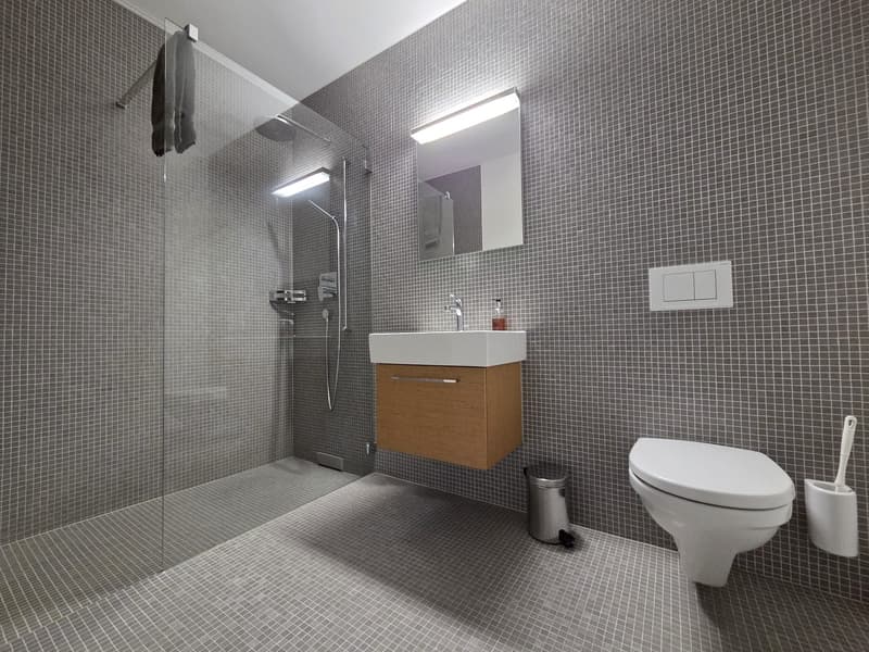 Charming furnished 3.5-Room Apartment with Balcony an rooftop terrace in the Heart of Luzern (11)