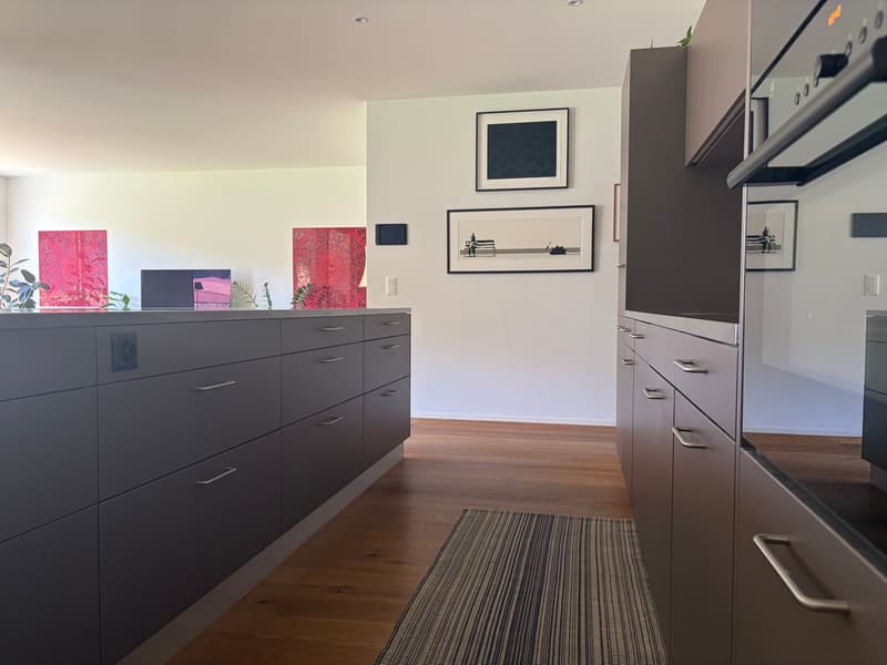 Charming furnished 3.5-Room Apartment with Balcony an rooftop terrace in the Heart of Luzern (6)