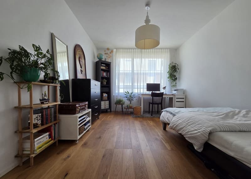 Charming furnished 3.5-Room Apartment with Balcony an rooftop terrace in the Heart of Luzern (13)
