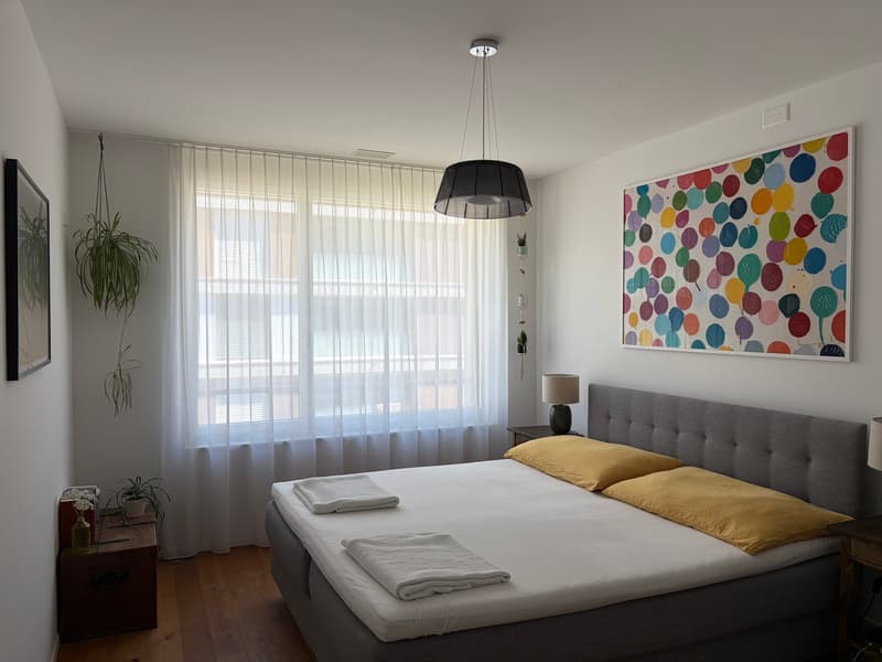 Charming furnished 3.5-Room Apartment with Balcony an rooftop terrace in the Heart of Luzern (12)