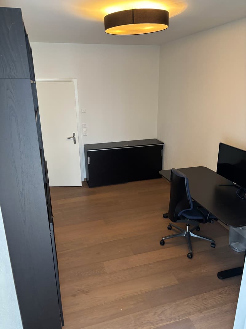 Fixed term: 01.01.2027 - 31.05.2027: Charming Furnished 3.5-Room Apartment in Zürich-Wiedikon (10)