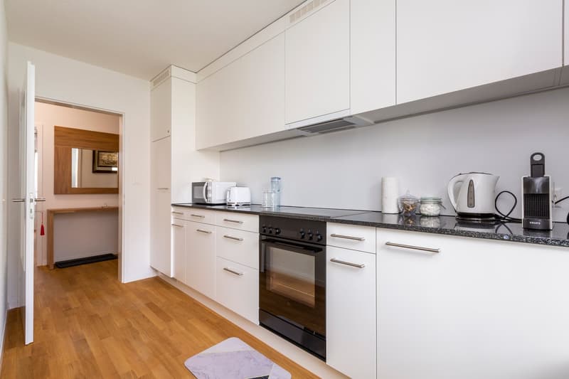 Möblierte 3.5-Zimmer-Wohnung mit Balkon an der Elisabethenstrasse, Zürich (7)
