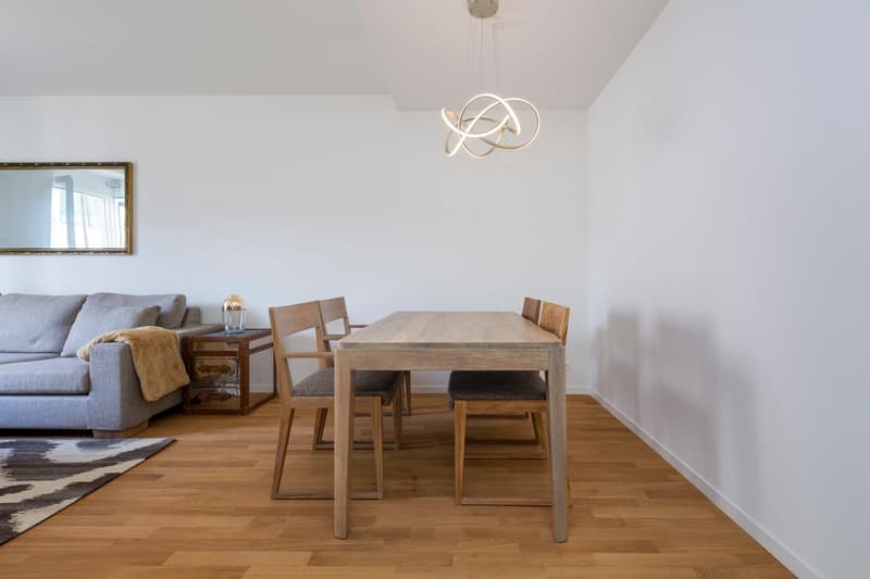 Möblierte 3.5-Zimmer-Wohnung mit Balkon an der Elisabethenstrasse, Zürich (10)