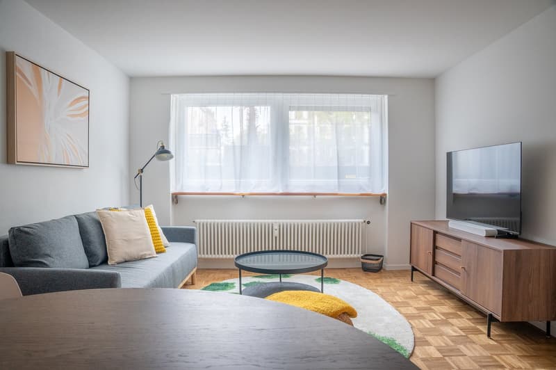 Furnished 2.5-Room Apartment in Basel – Central Location (3)