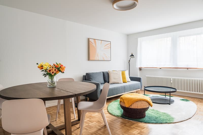 Furnished 2.5-Room Apartment in Basel – Central Location (2)