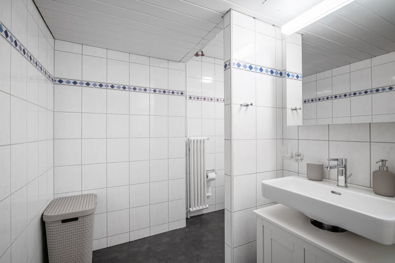 Furnished 2.5-Room Apartment in Basel – Central Location (13)