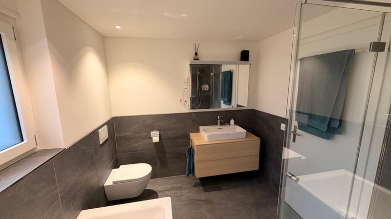 Exclusive Furnished 5.5 room Apartment with Breathtaking Lake and Mountain Views (23)