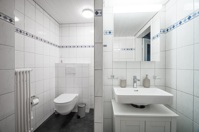 Furnished 2.5-Room Apartment in Basel-Central Location (13)