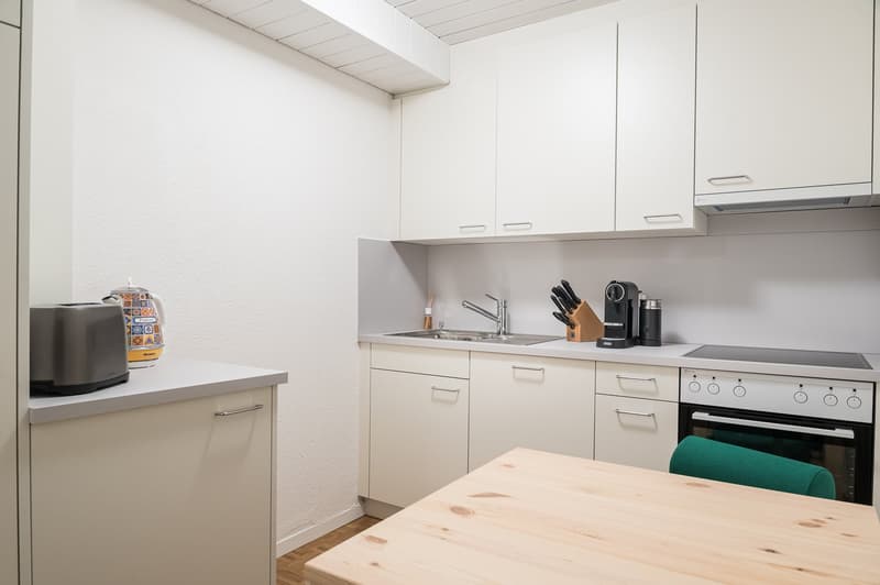 Furnished 2.5-Room Apartment in Basel-Central Location (12)