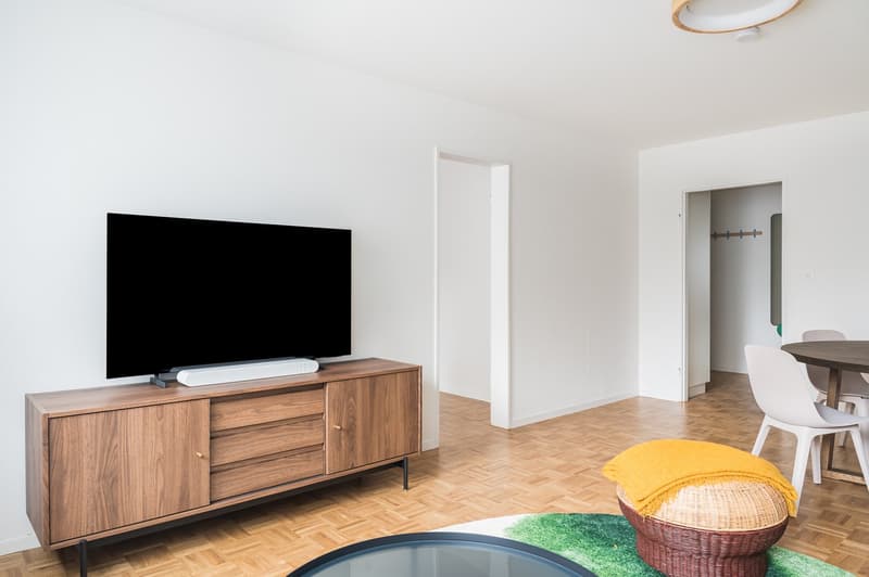 Furnished 2.5-Room Apartment in Basel-Central Location (5)