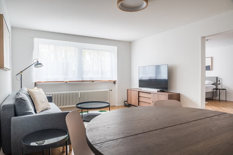 Furnished 2.5-Room Apartment in Basel-Central Location (4)