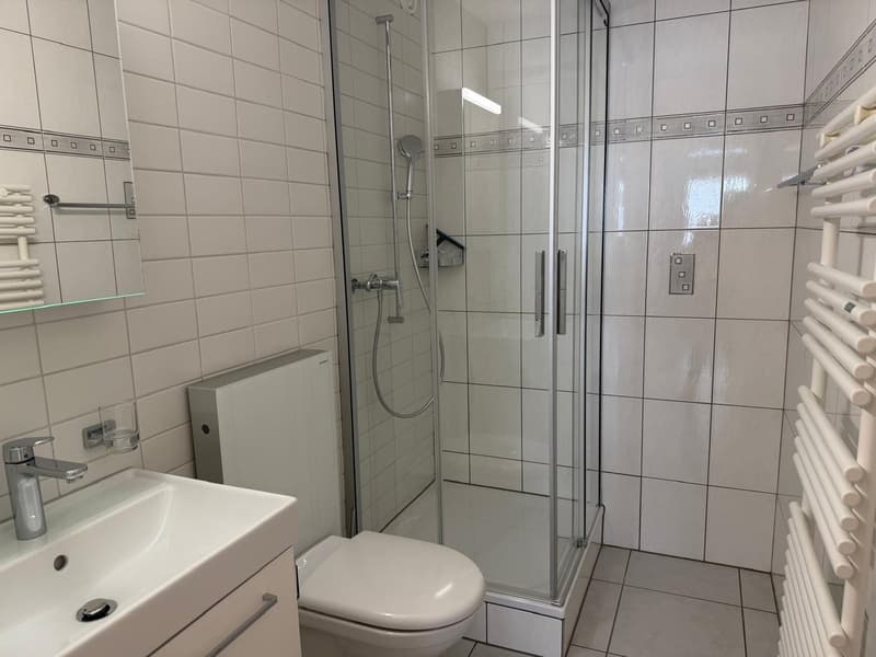 Sanierte Wohnung in Visp (5)