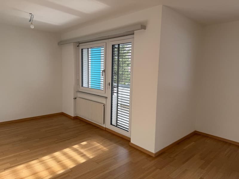 Sanierte Wohnung in Visp (6)