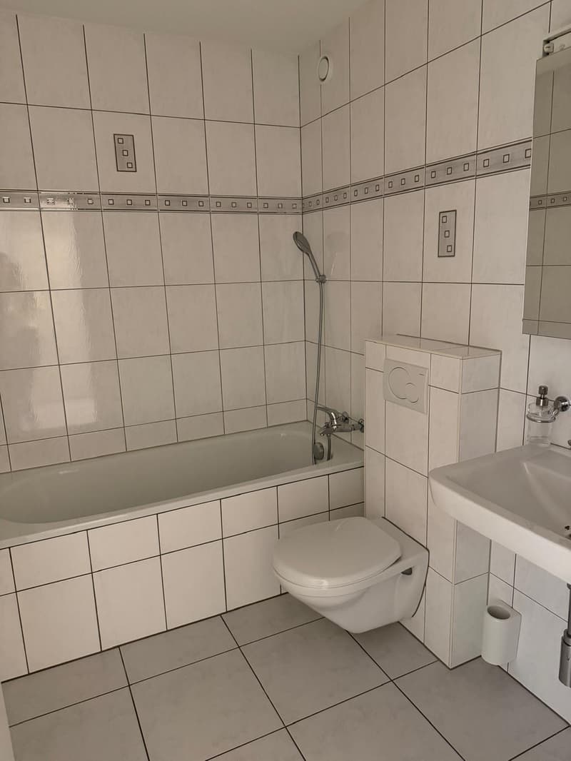Sanierte Wohnung in Visp (4)