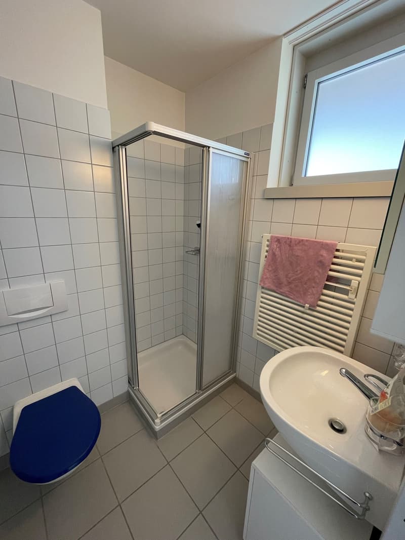 Helle 2-Zimmer-Wohnung im 3. OG mit Lift, mitten in Visp (3)