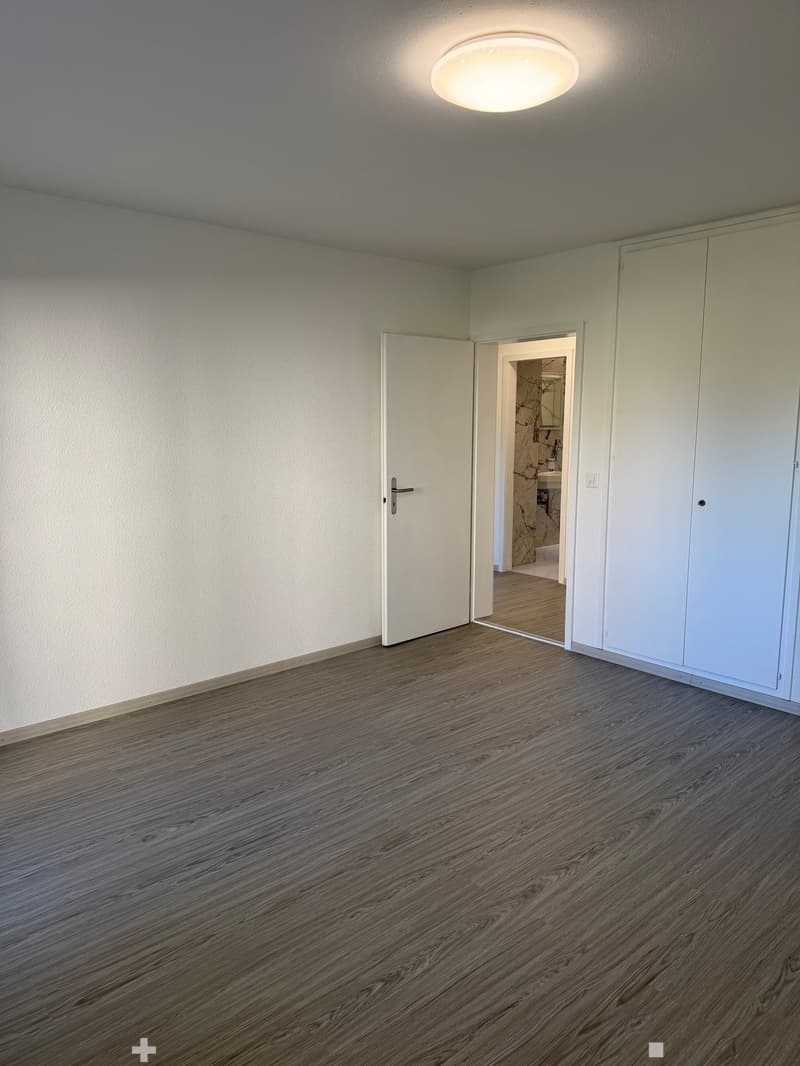 Appartement 4.5 pcs à Bienne au REZ-DE-CHAUSSÉE entièrement rénové (6)