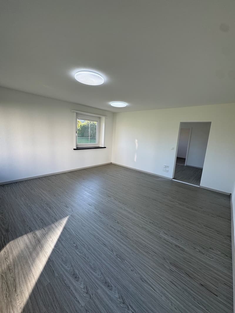 Appartement 4.5 pcs à Bienne au REZ-DE-CHAUSSÉE entièrement rénové (11)
