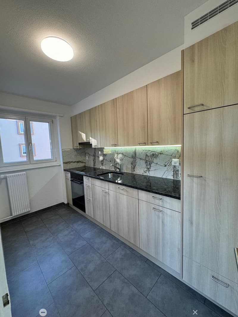 Appartement 4.5 pcs à Bienne au REZ-DE-CHAUSSÉE entièrement rénové (7)