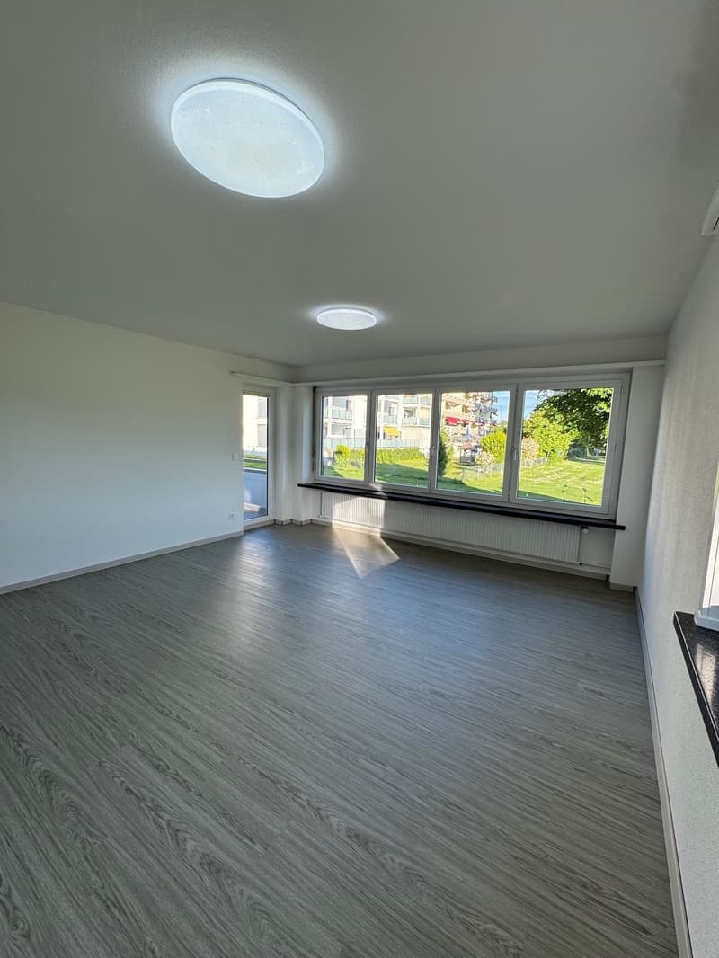 Appartement 4.5 pcs à Bienne au REZ-DE-CHAUSSÉE entièrement rénové (10)