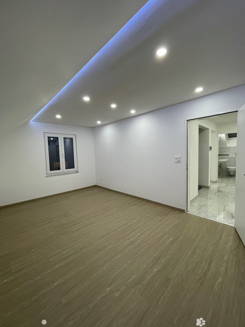 Appartement Duplex 4.5 pcs à Biel/Bienne entièrement rénové (3)