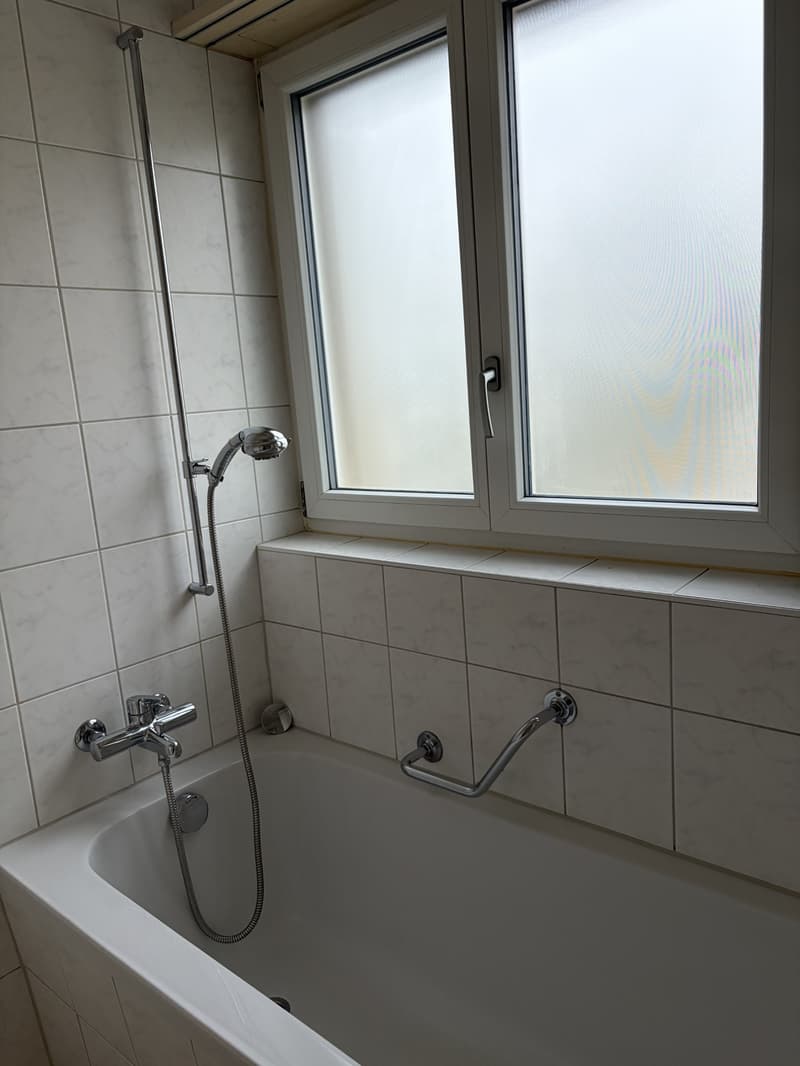 Gemütliche 3 - Zimmerwohnung (11)