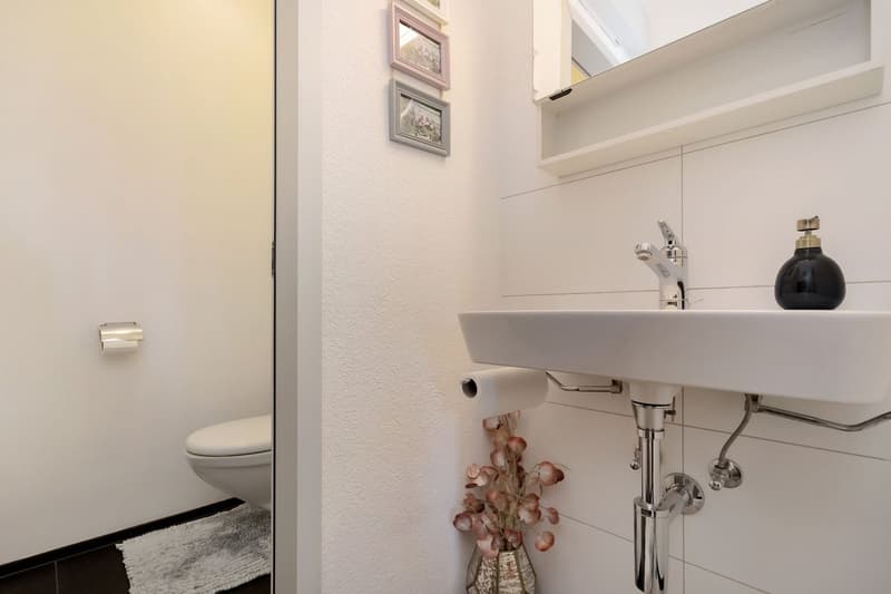 Sanierte Wohnung im Wittigkofenquartier (12)