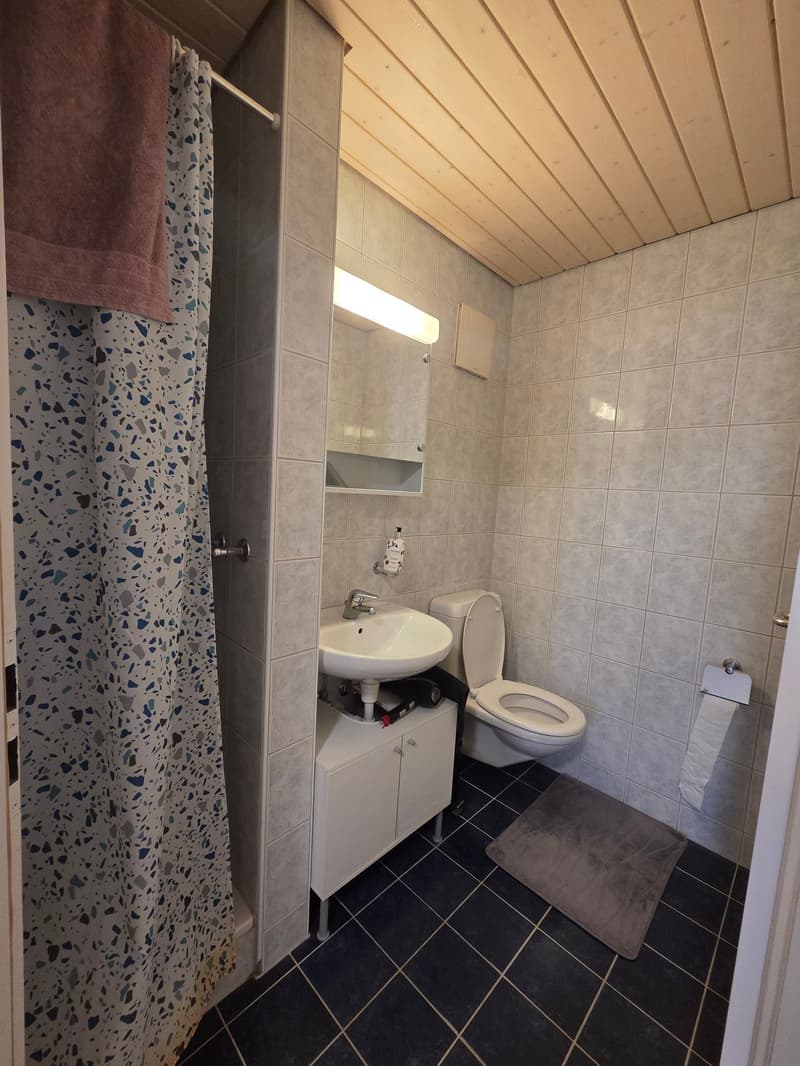 Helle 4.5-Zimmer-Wohnung mit Balkon und grossem Estrich (7)