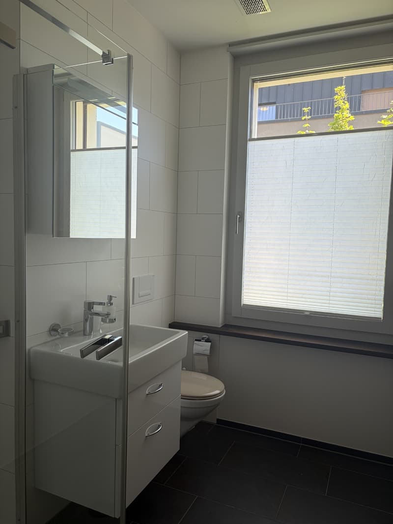 Exkluxive Wohnung inkl. Einstellhallenplatz (13)