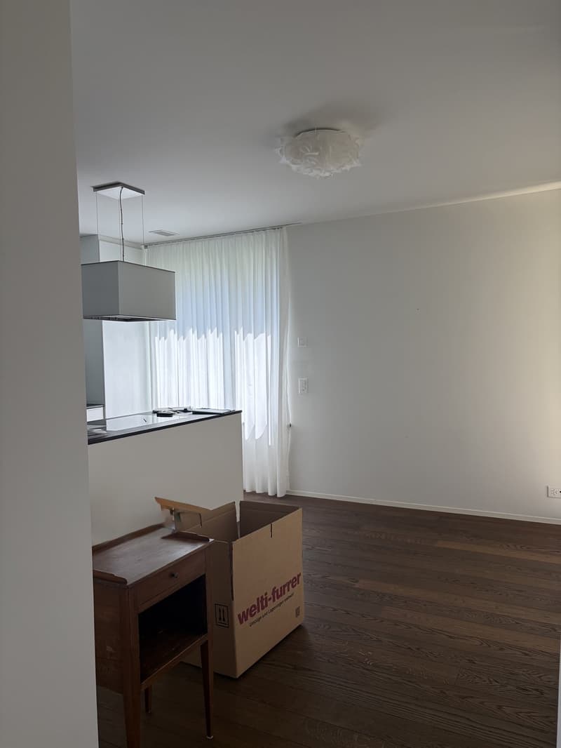 Exkluxive Wohnung inkl. Einstellhallenplatz (4)