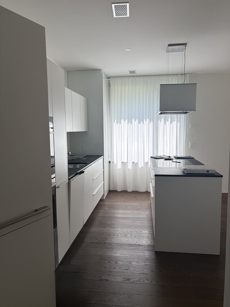 Exkluxive Wohnung inkl. Einstellhallenplatz (2)