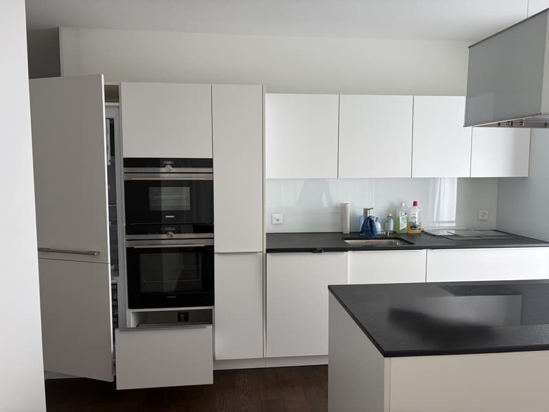 Exkluxive Wohnung inkl. Einstellhallenplatz (3)