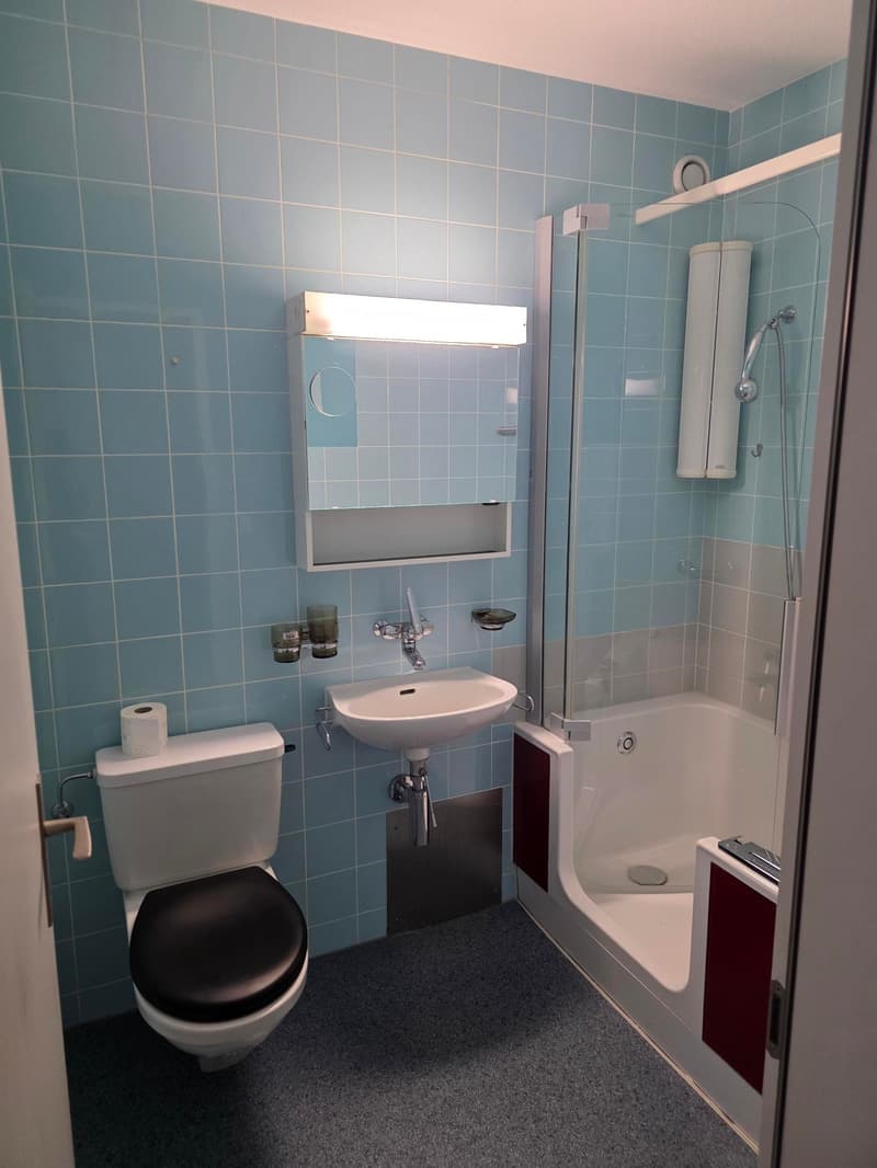 Sanierungsbedürftige 4-Zi-Wohnung im 16. Stock mit unschlagbarem Panorama (5)