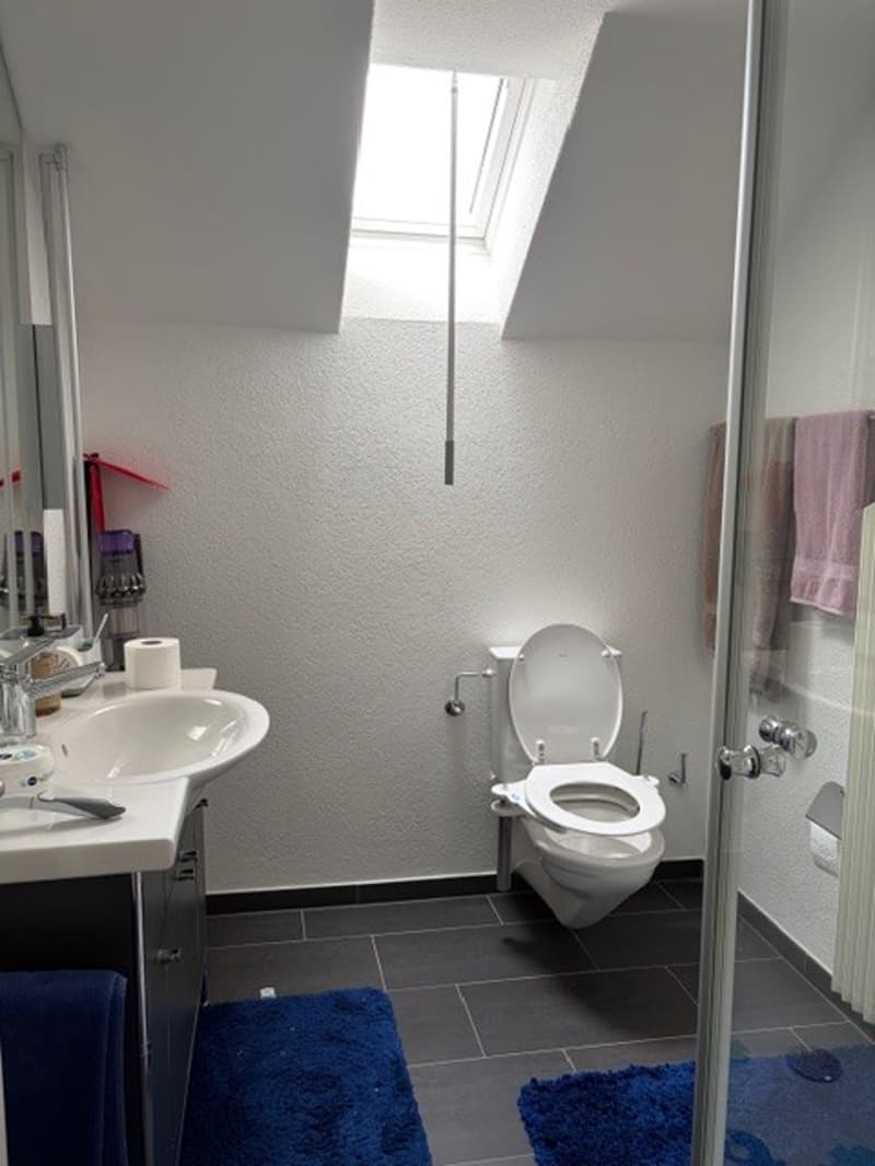 Luxuriöse 5-Zimmer-Wohnung in grüner Umgebung in Bern (16)