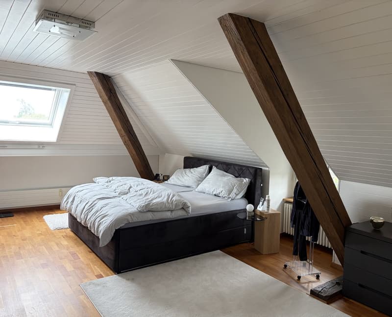 Luxuriöse 5-Zimmer-Wohnung in grüner Umgebung in Bern (10)