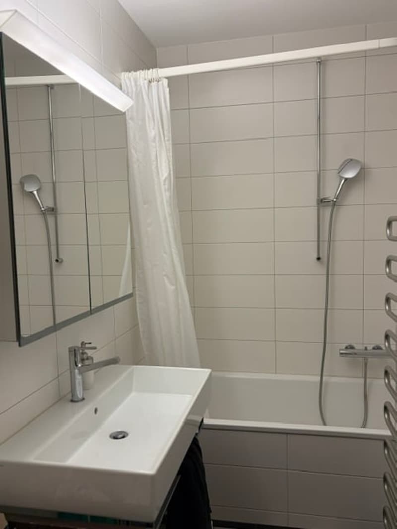 Tolle Wohnung im beliebten Fischermätteli Quartier (7)