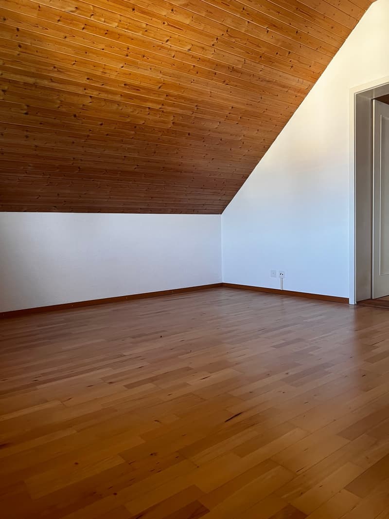 Charmante Dachwohnung (12)