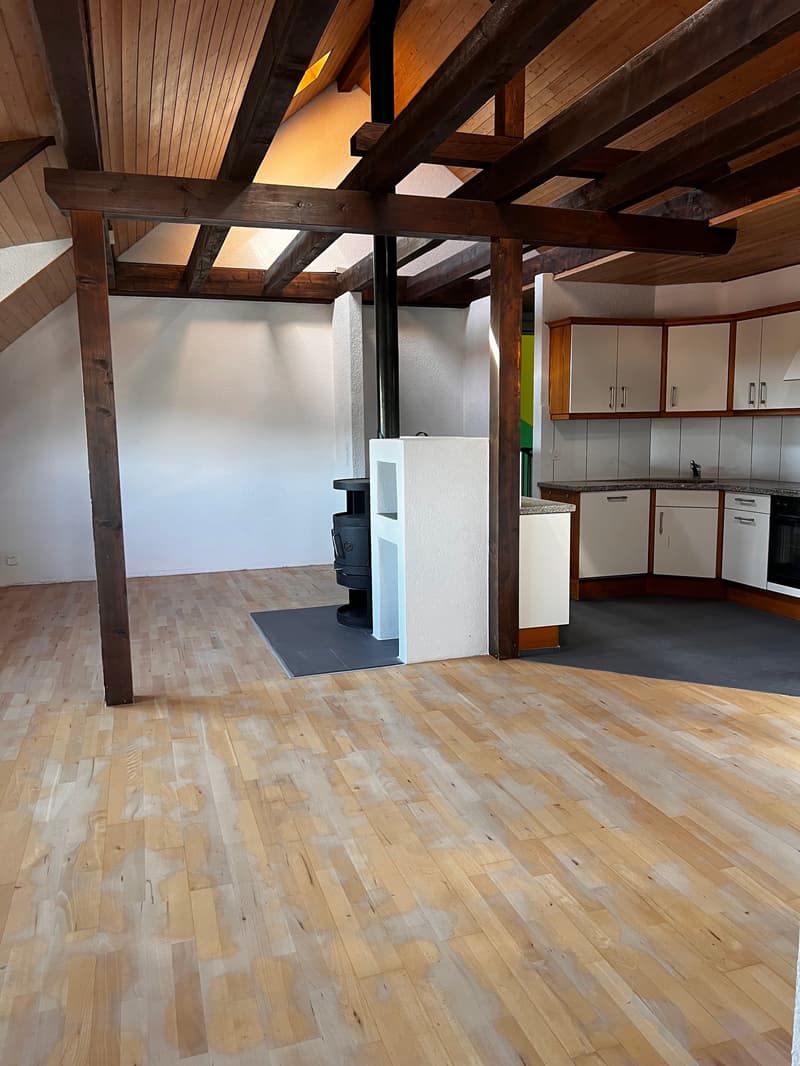 Charmante Dachwohnung (1)