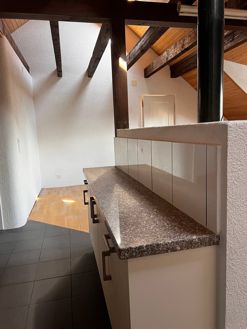 Charmante Dachwohnung (6)